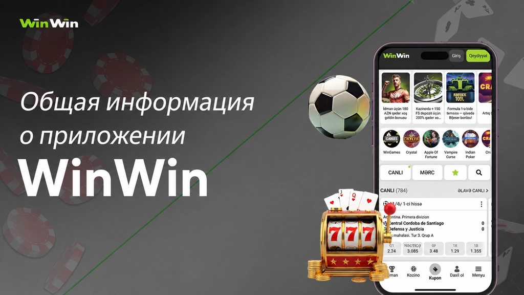Общая информация о приложении WinWin и его основных функциях